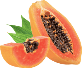 Synadentix Ingredients