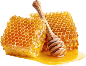 Synadentix Ingredients